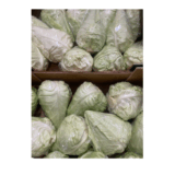 Choux - Pointu - prix par kg