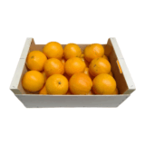 Orange Navel D`Algarve - caisse de 10 kg