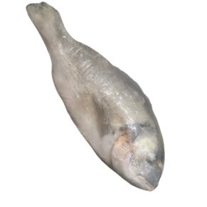 JP Dorade Royale Nettoyée Surgelée - Prix Par Kg